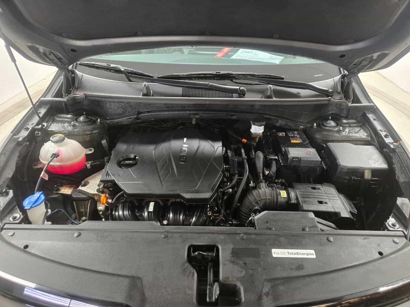 2023 Kia Sportage X-Line Limited - Image 7