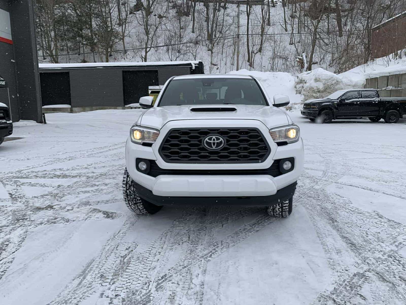 2020 Toyota Tacoma TRD Sport - Image 2