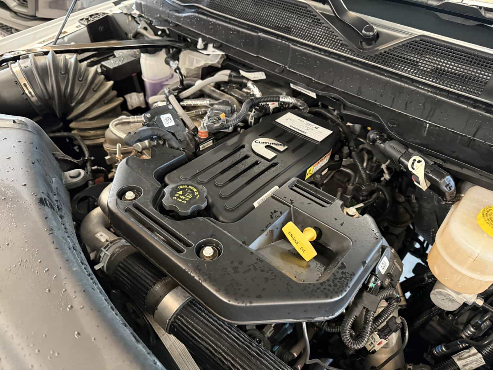 2025 RAM 2500 Limited Longhorn - Image 12