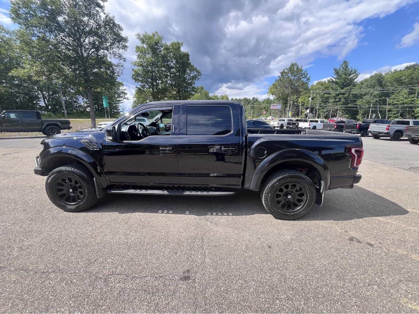2019 Ford F150 Raptor - Image 8